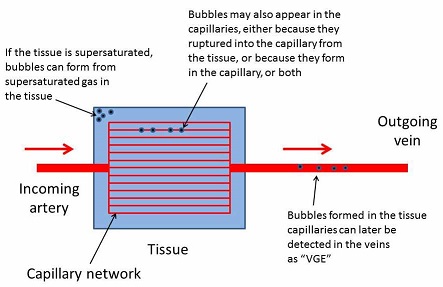 SM_Tissues and bubbles_50.jpg